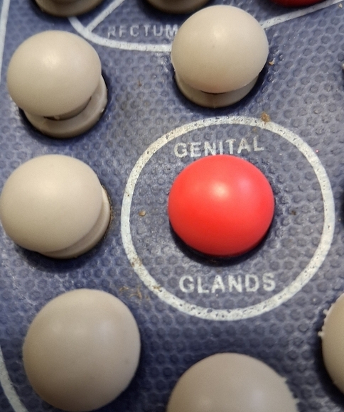 Byriver Women's Massage Reflexology Sandals  Size S (8-9) - Picture 3 of 12